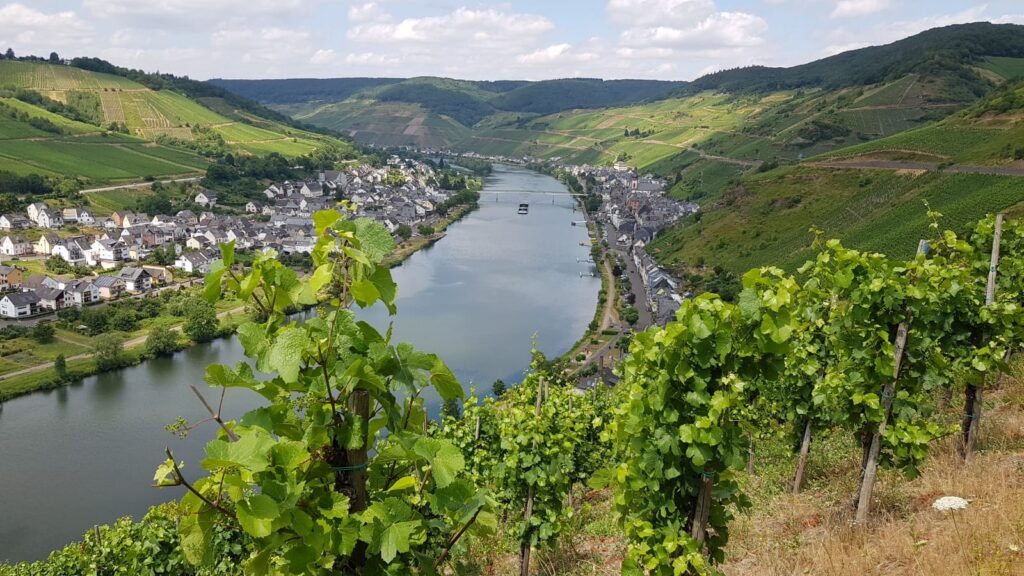 Mosel Valley